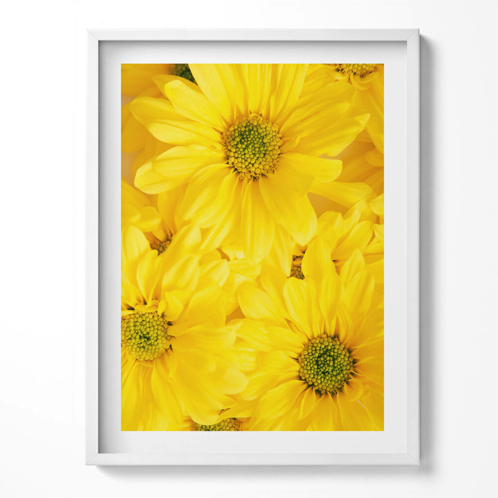 Obraz w ramce Kwiaty płatki