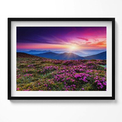 Obraz z ramką Wschód słońca kwiaty