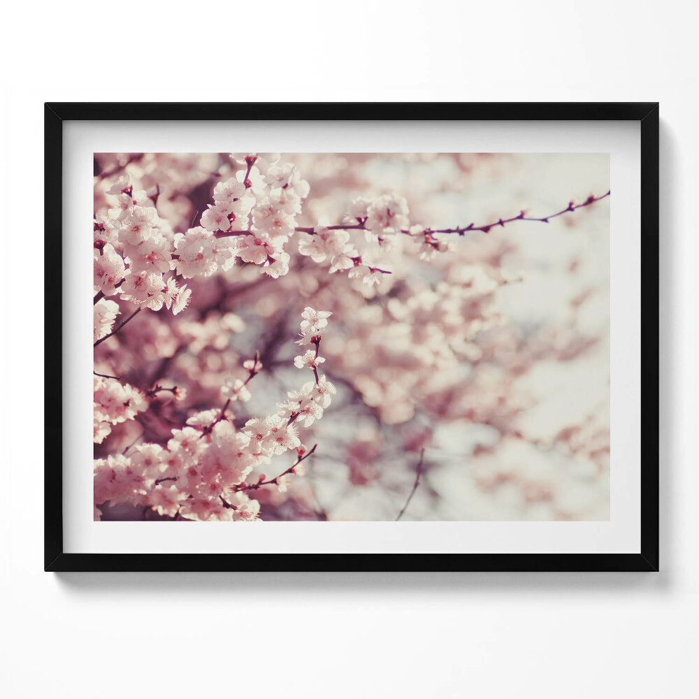 Obraz z ramką Kwitnienie wiosennych kwiatów