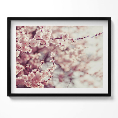 Obraz z ramką Kwitnienie wiosennych kwiatów