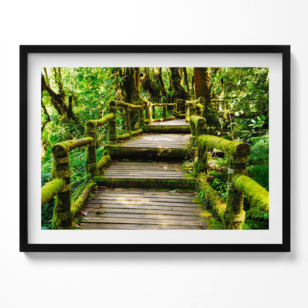 Obraz z ramką Drewniany chodnik - agroturystyka