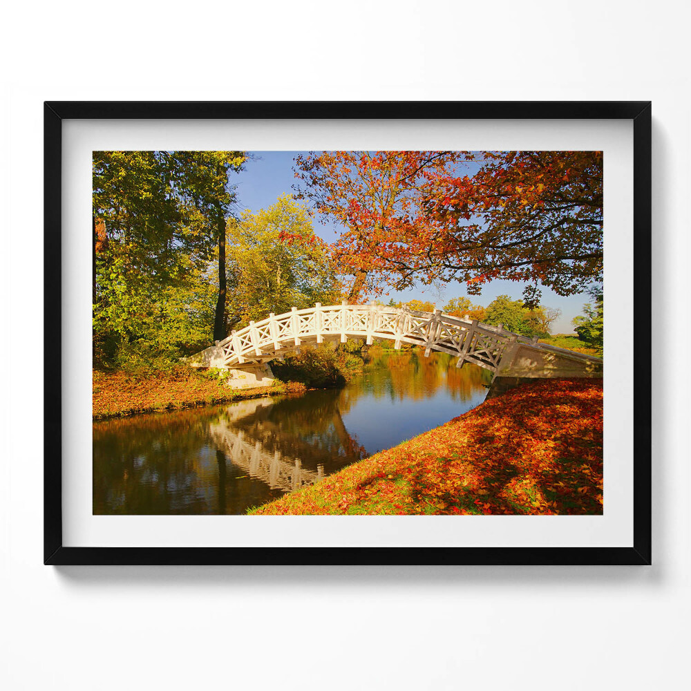 Obraz z ramką Park Woerlitzer złotej jesieni