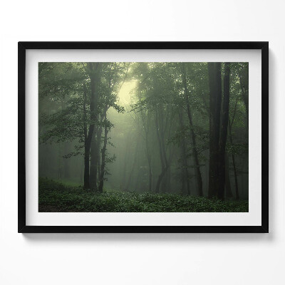 Obraz z ramką Mglisty las o poranku
