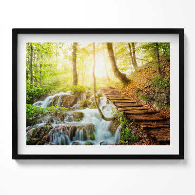 Obraz z ramką Strumień i schody w lesie