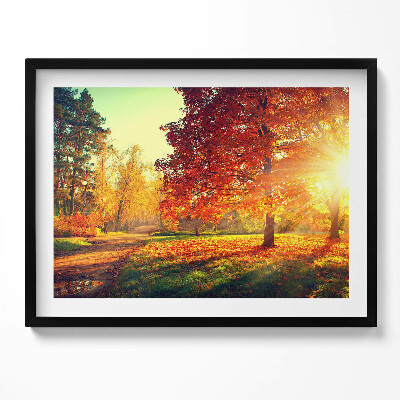 Obraz z ramką Jesienny park