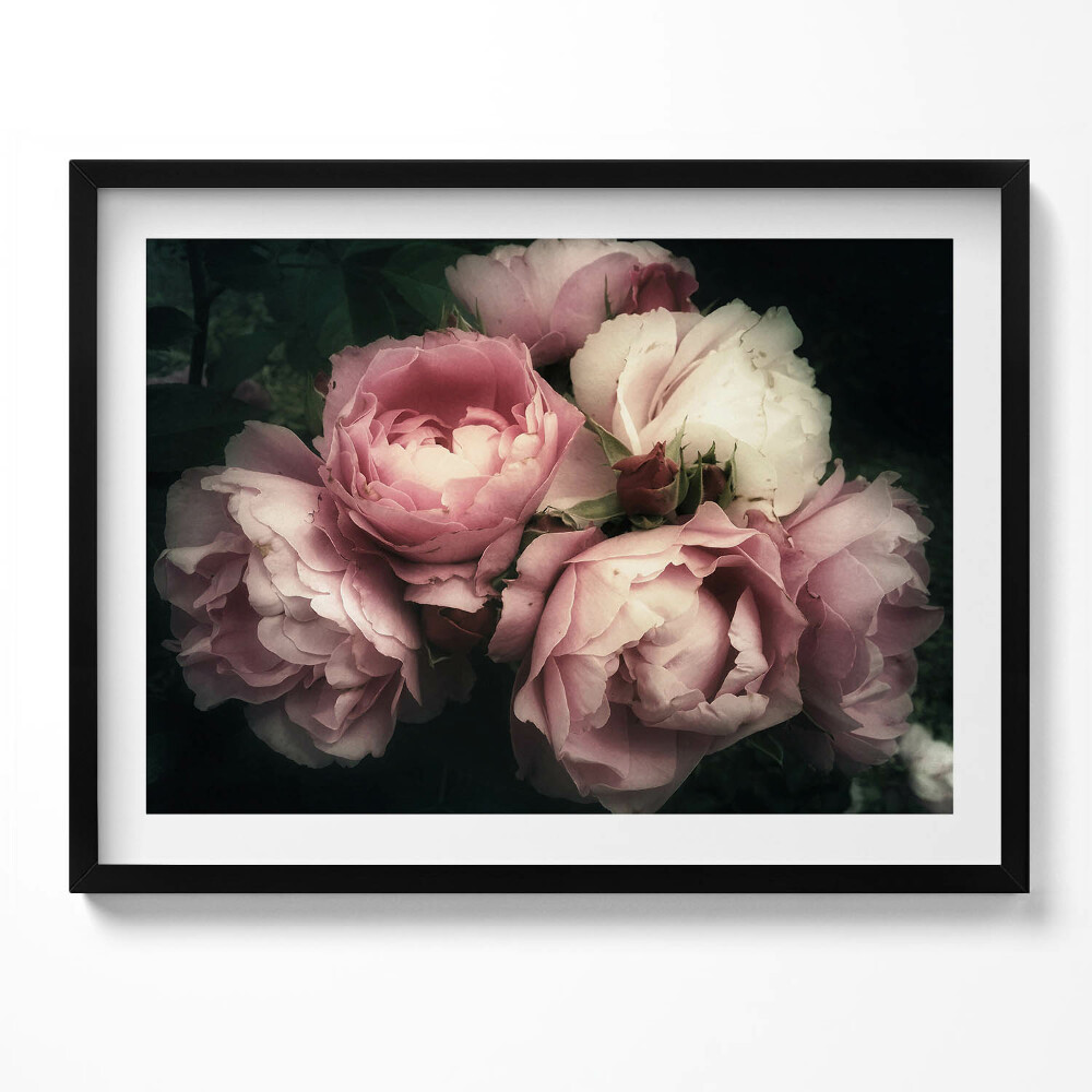 Obraz z ramką bukiet różowych róż vintage