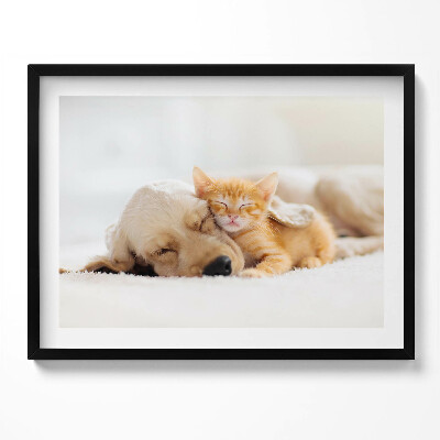 Obraz z ramką Śpiące zwierzęta kot i pies