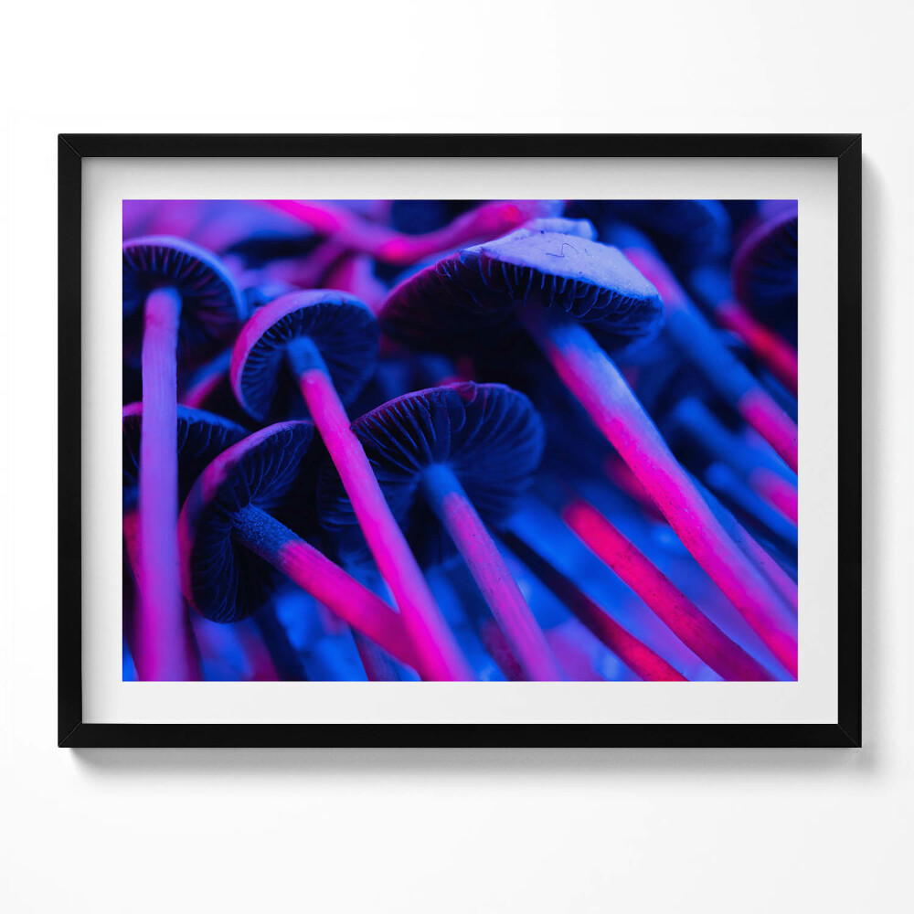 Obraz z ramką Magiczne kolorowe grzyby