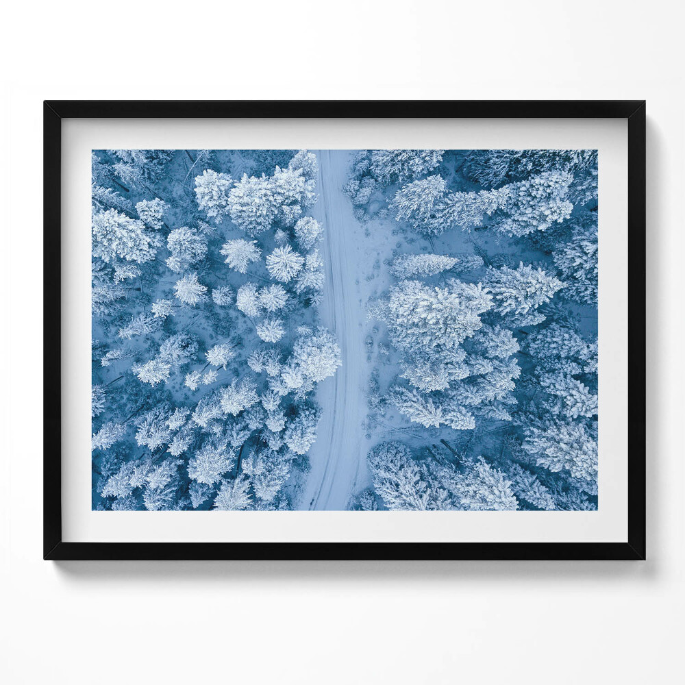 Obraz z ramką Las z lotu ptaka Dron