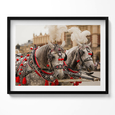 Obraz z ramką Piękne konie w Krakowie