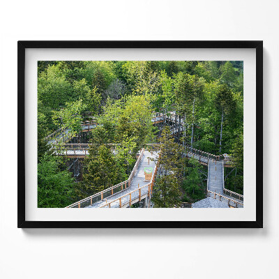 Obraz z ramką Ścieżka w Krynicy Zdroju