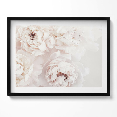 Obraz z ramką Pastelowe piwonie