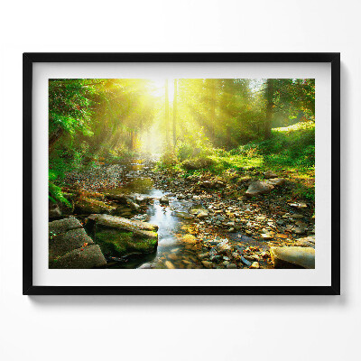 Obraz z ramką Leśny strumyk w promieniach słońca