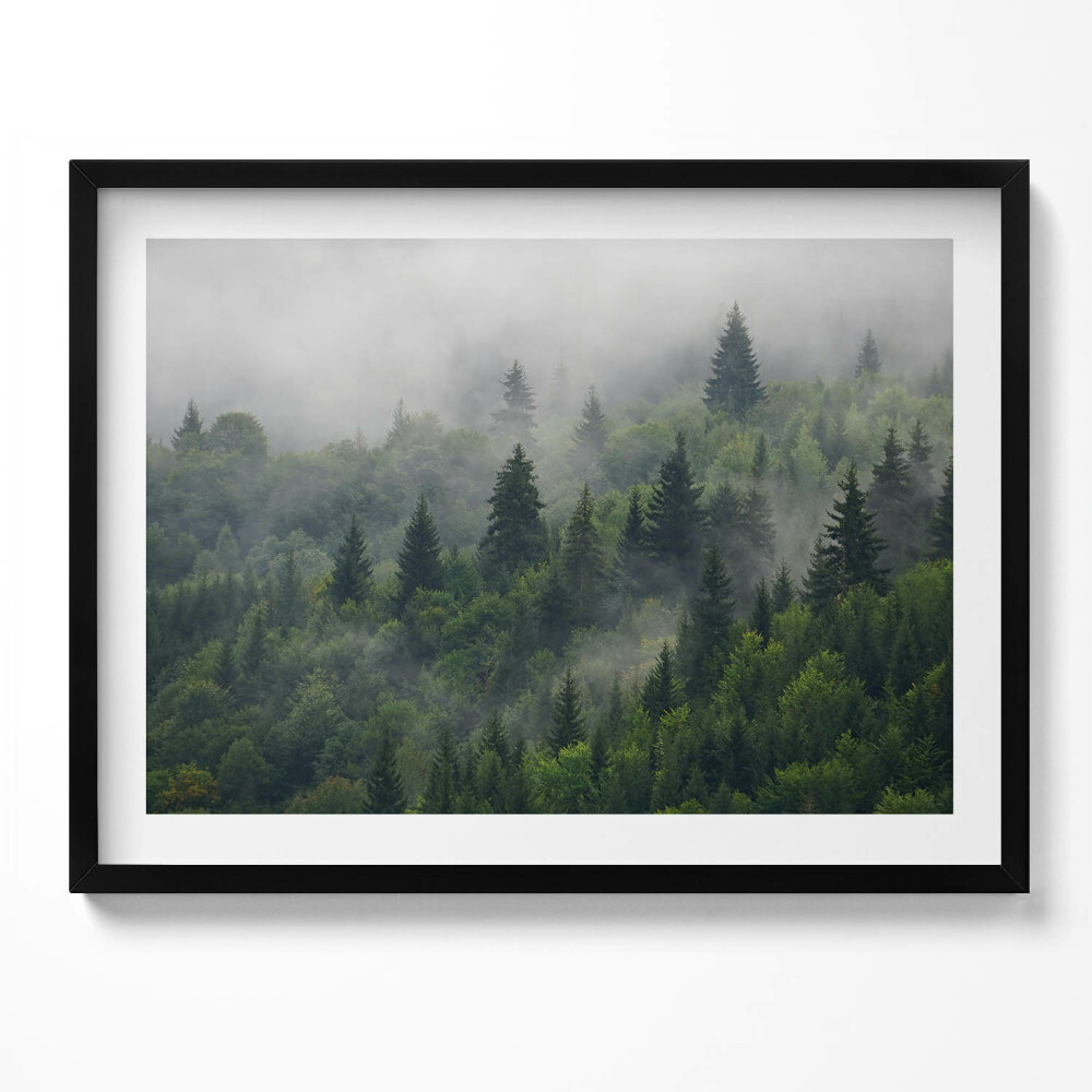 Obraz z ramką Pejzaż las we mgle