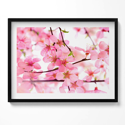 Obraz z ramką Różowe wiosenne kwiaty na gałęziach
