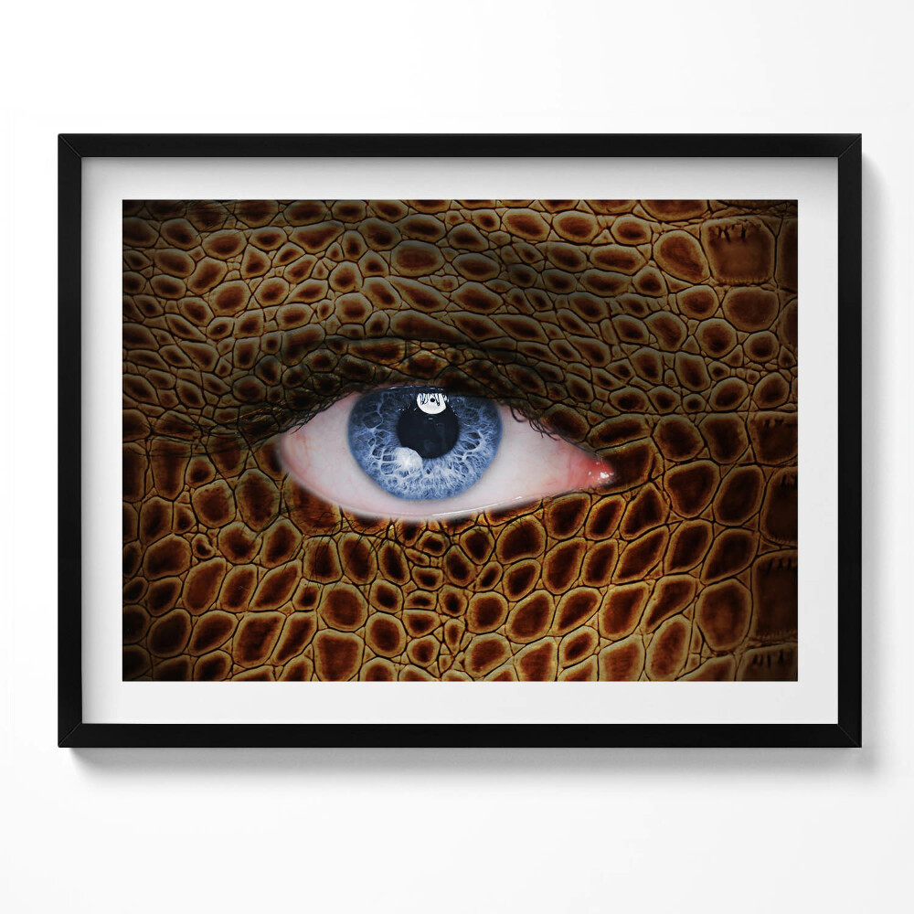 Obraz z ramką Kobiece kocie oko i wzór pantery