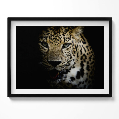 Obraz z ramką Dziki kot tygrys w czerni