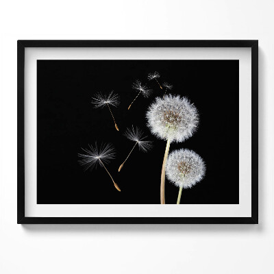 Obraz z ramką Dwa dmuchawce