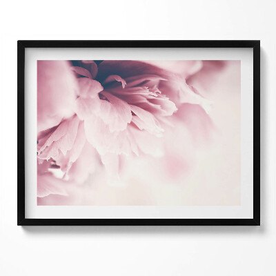 Obraz z ramką Zbliżenie na płatki piwonii