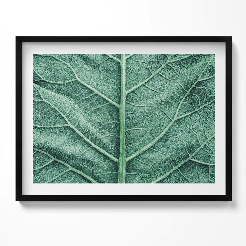 Obraz z ramką Zbliżenie na żyłki liścia
