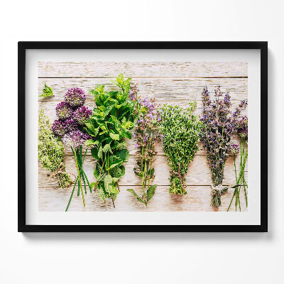 Obraz z ramką Rośliny i zioła na deskach