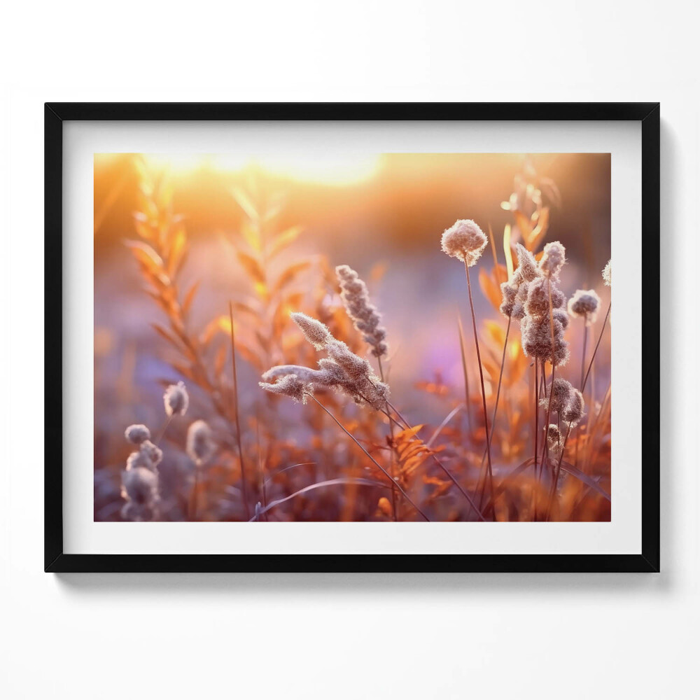 Obraz z ramką Boho trawy o wschodzie słońca
