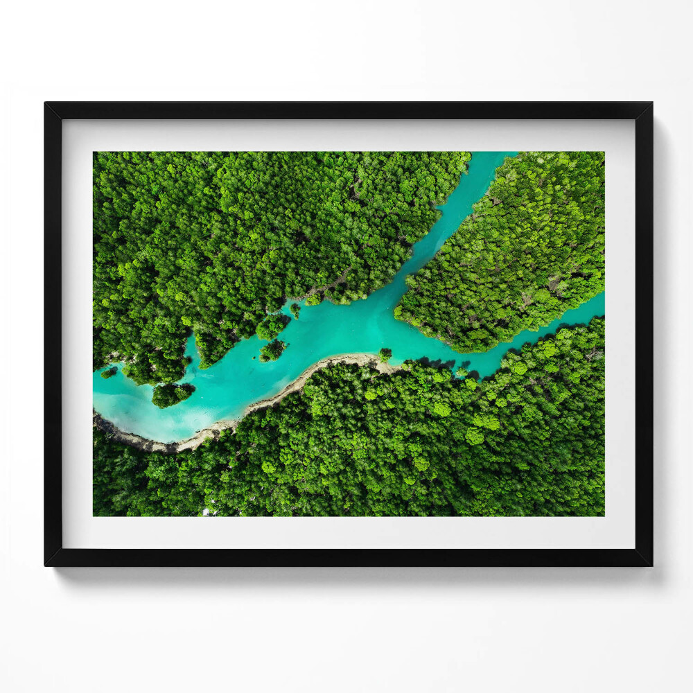Obraz z ramką Rzeka w tropikalnych lasach z lotu ptaka