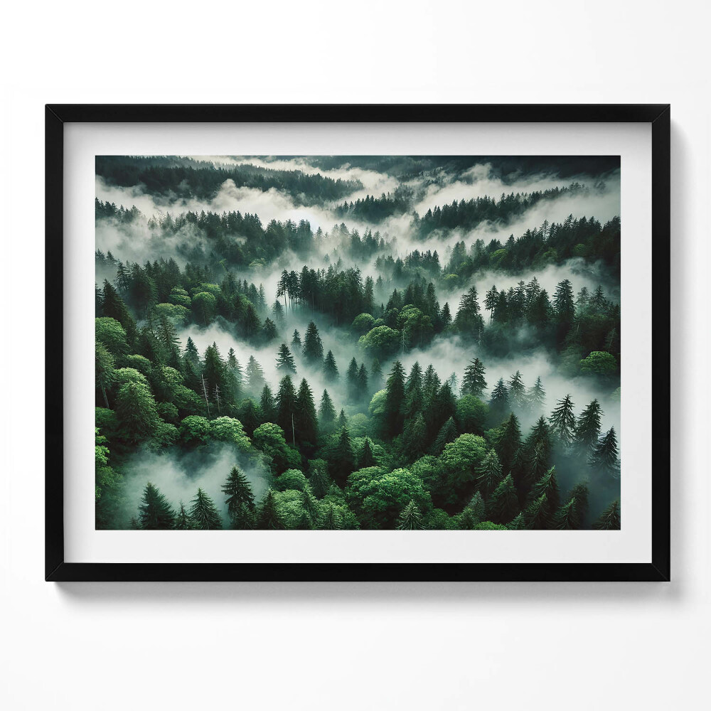 Obraz z ramką Pejzaż poranna mgła w lesie