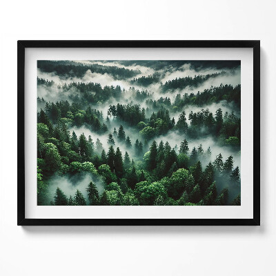 Obraz z ramką Pejzaż poranna mgła w lesie