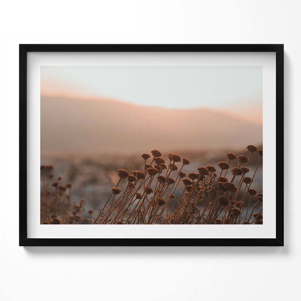 Obraz z ramką Boho romantyczny pejzaż traw