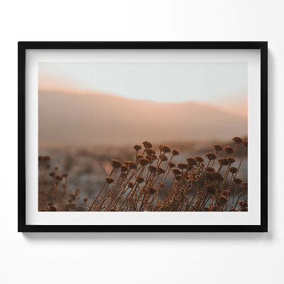 Obraz z ramką Boho romantyczny pejzaż traw