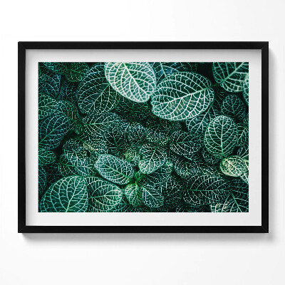 Obraz z ramką Zielone dzikie liście