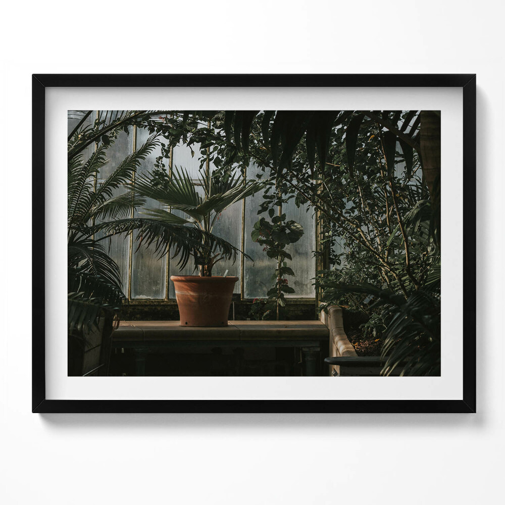 Obraz z ramką Vintage rośliny na oknie
