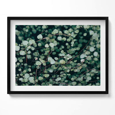 Obraz z ramką Droble listki rośliny