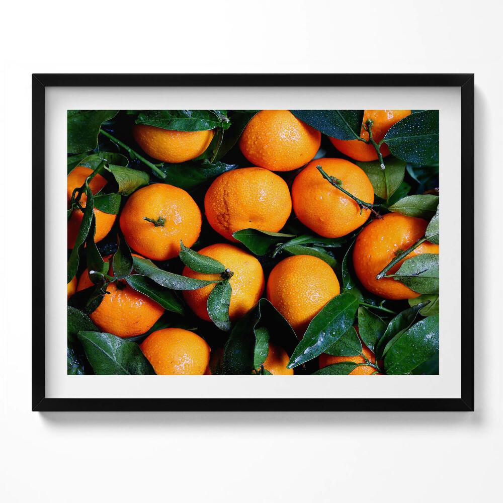 Obraz z ramką Dojrzałe włoskie pomarańcze