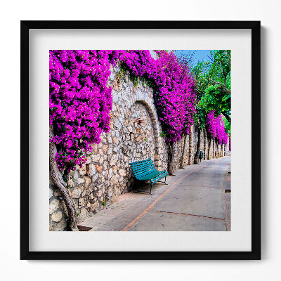 Obraz w drewnianej ramce Droga z kwiatami na Capri we Włoszech