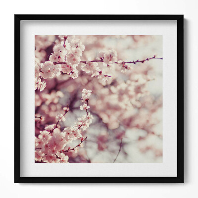 Obraz w drewnianej ramce Kwitnienie wiosennych kwiatów