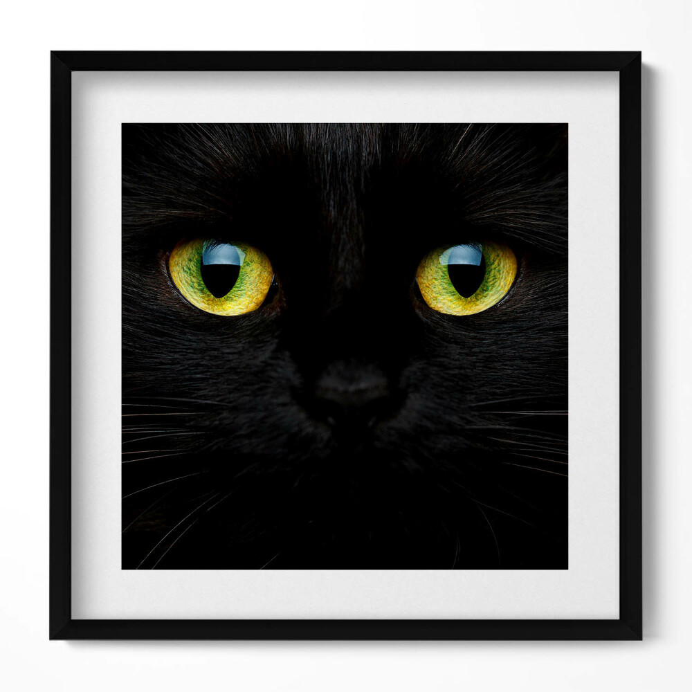 Obraz w drewnianej ramce Zwierzę kocie oczy