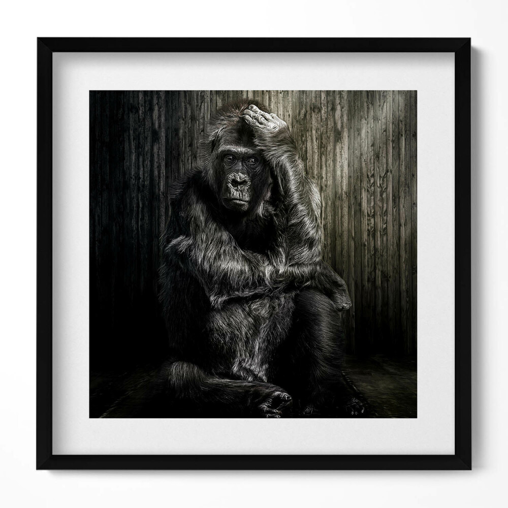 Obraz w drewnianej ramce Dumająca w cieniu małpa