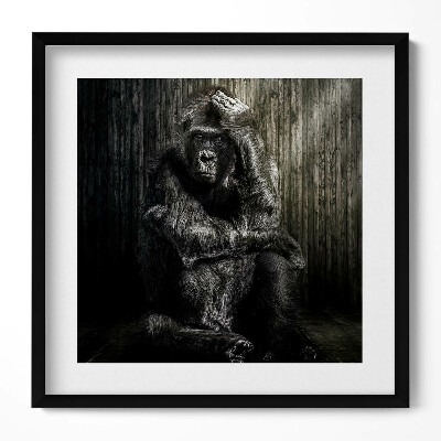 Obraz w drewnianej ramce Dumająca w cieniu małpa