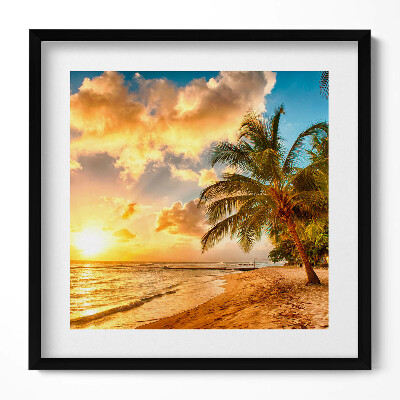 Obraz w drewnianej ramce Plaża palmy i morze o zachodzie słońca