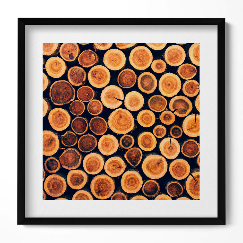 Obraz w drewnianej ramce Drewno, pieńki drzew