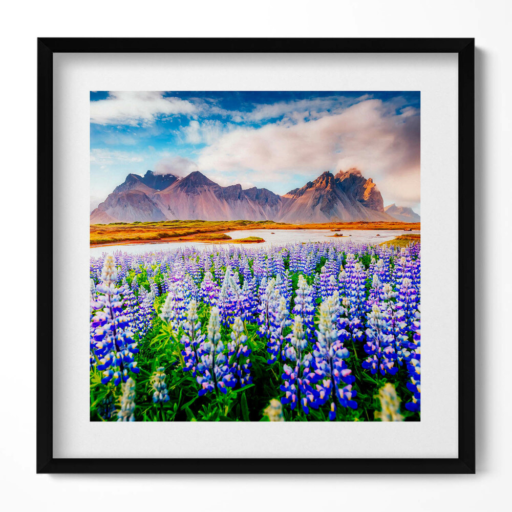 Obraz w drewnianej ramce Magiczne kwiaty łubinu