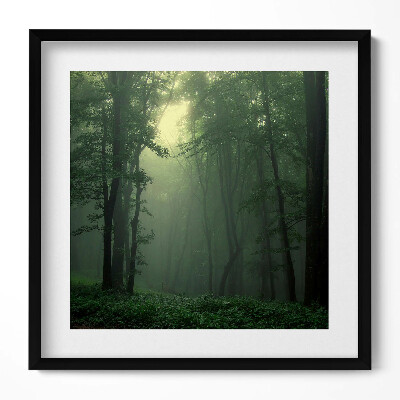 Obraz w drewnianej ramce Mglisty las o poranku