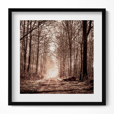Obraz w drewnianej ramce Ścieżka leśna w kolorach sepii