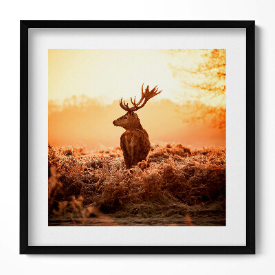 Obraz w drewnianej ramce Jeleń o wschodzie słońca