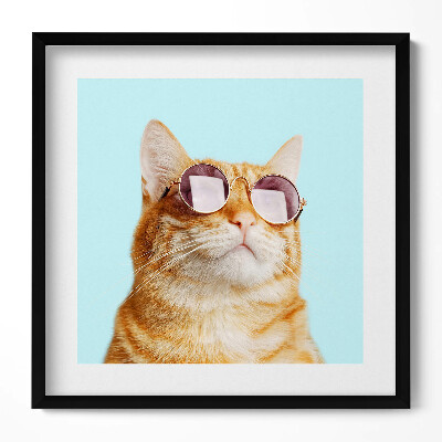 Obraz w drewnianej ramce Śmieszny kot w okularach