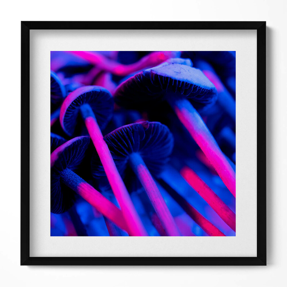 Obraz w drewnianej ramce Magiczne kolorowe grzyby