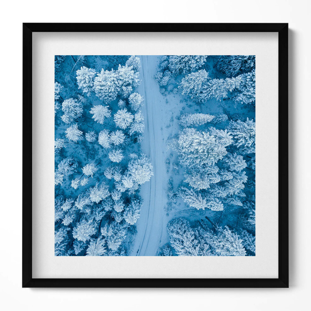 Obraz w drewnianej ramce Las z lotu ptaka Dron