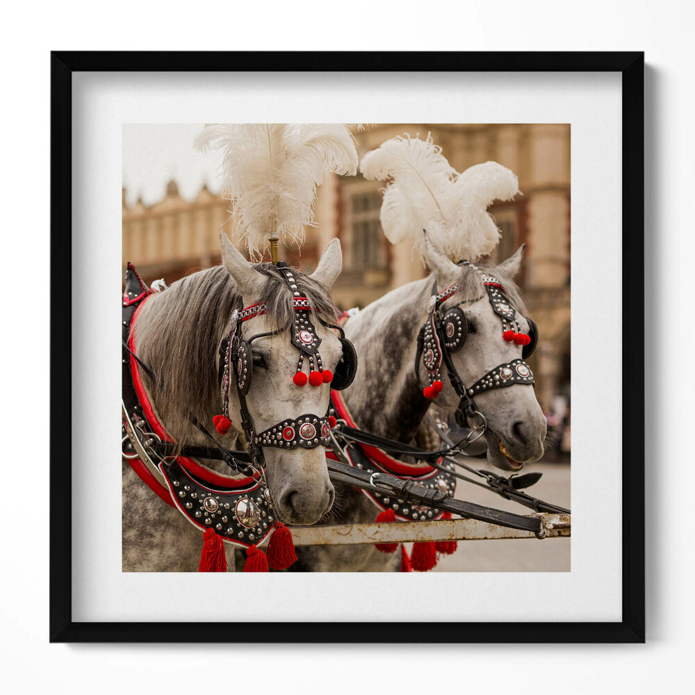 Obraz w drewnianej ramce Piękne konie w Krakowie
